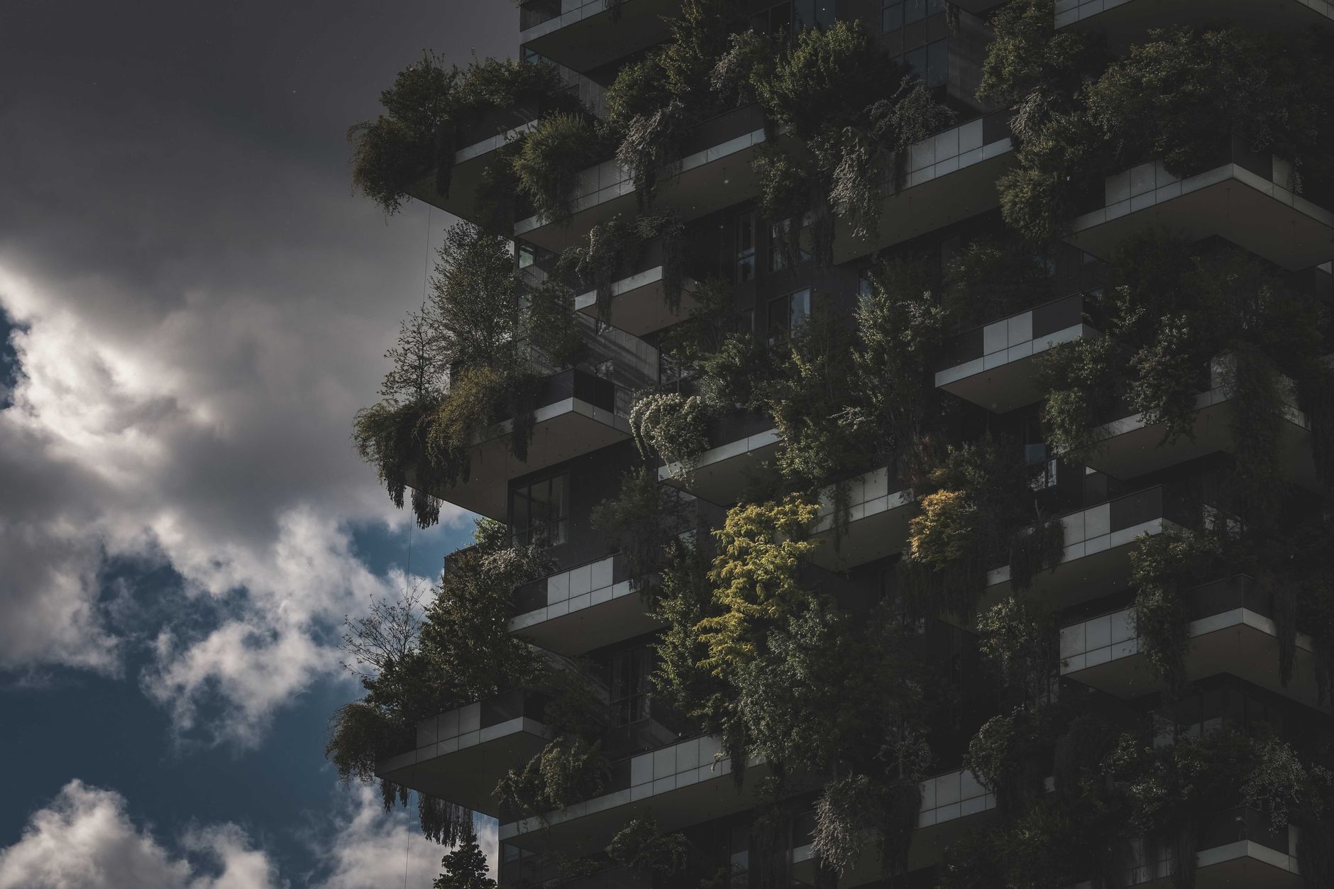 Impact Developer & Contractor obține certificarea BREEAM Excellent pentru 12 clădiri din Greenfield Baneasa