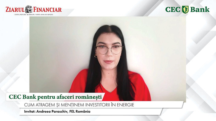 Perspectiva FEL România asupra investițiilor în energie: Factorii care determină bancabilitatea proiectelor