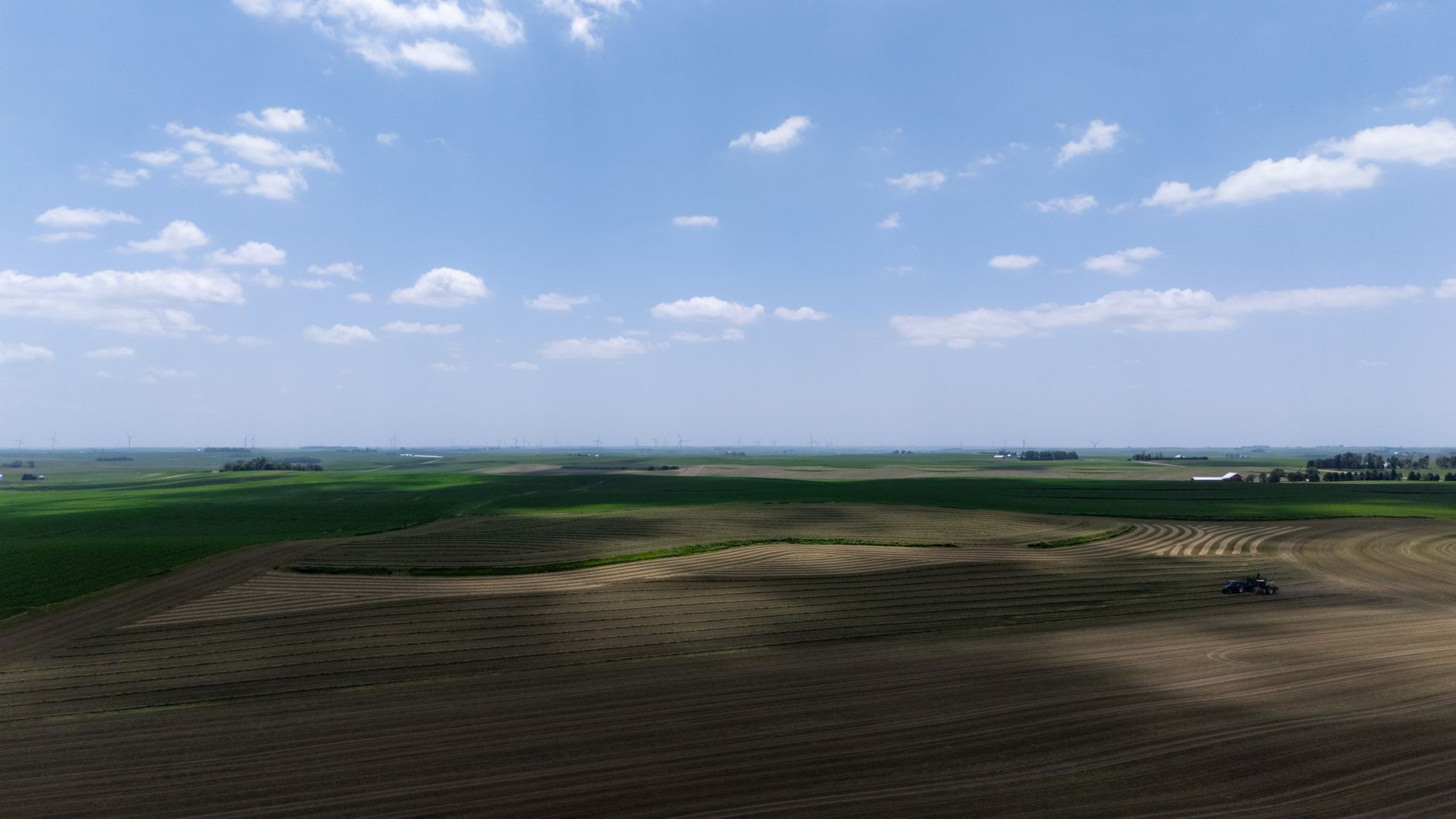 Consiliul Concurenței autorizează fuziunea grupurilor agricole Maïsadour și Euralis