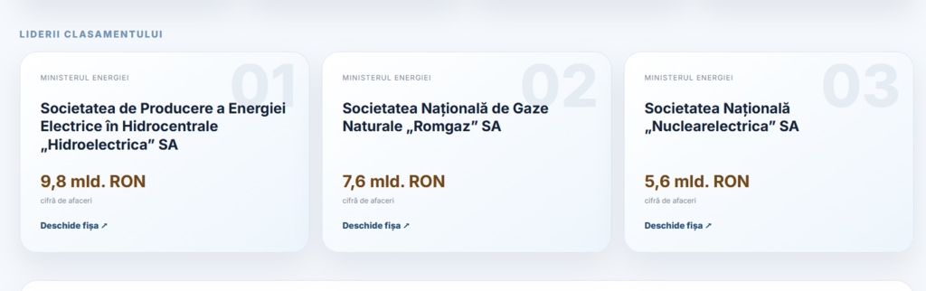 Topul companiilor de stat: Hidroelectrica, Romgaz și Nuclearelectrica domină sectorul energetic