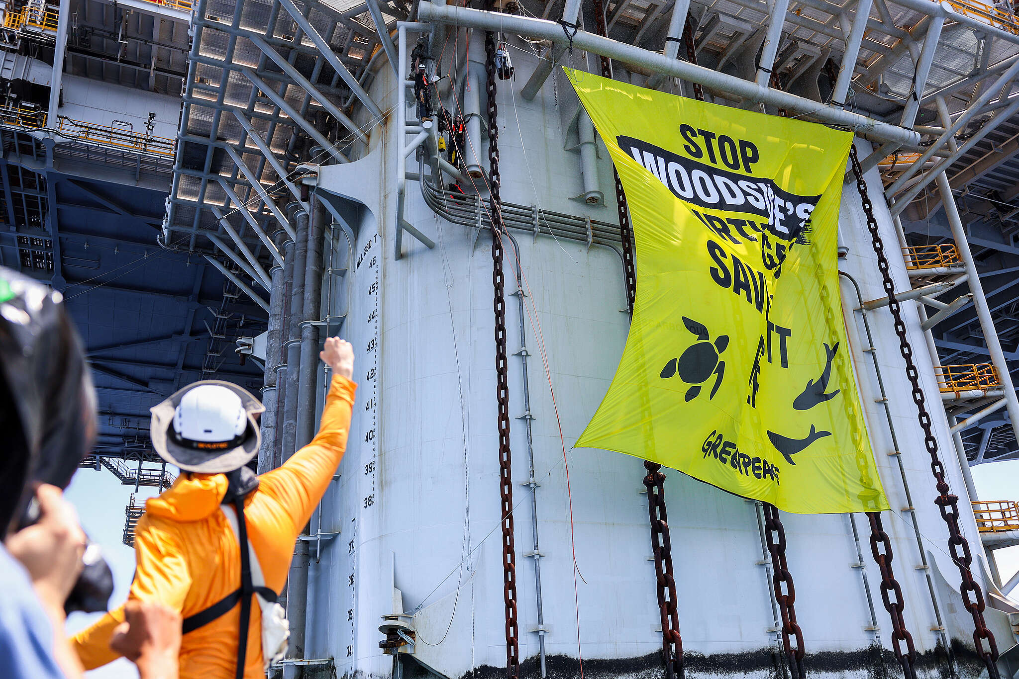 Proiect de gaze de 12,5 miliarde de dolari blocat de protestul Greenpeace în Australia