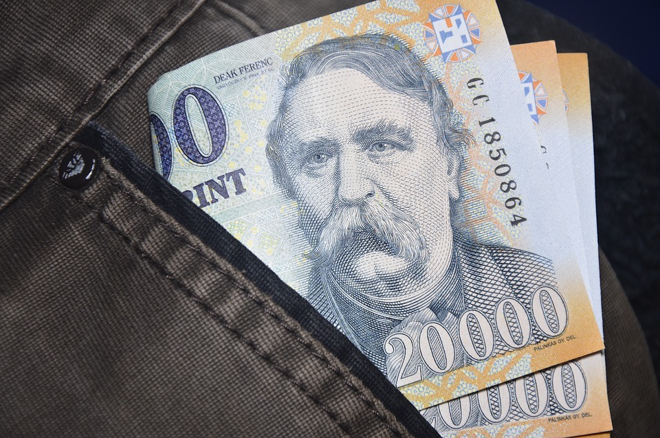 Prognoză Eurasia Group: Ungaria ar putea adera la zona euro în anul 2032