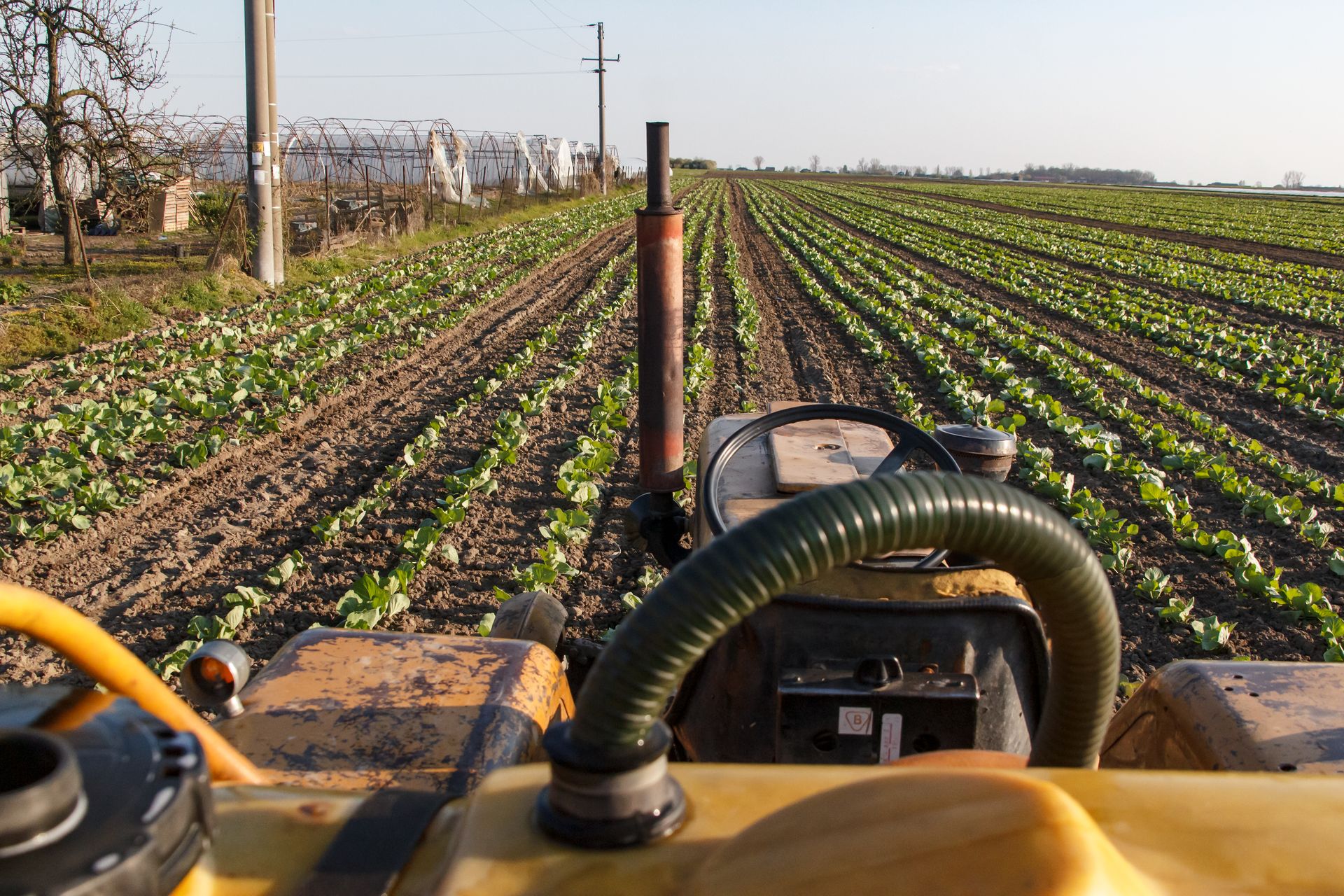 Impactul reducerii accizei la motorina agricolă asupra securității alimentare în România