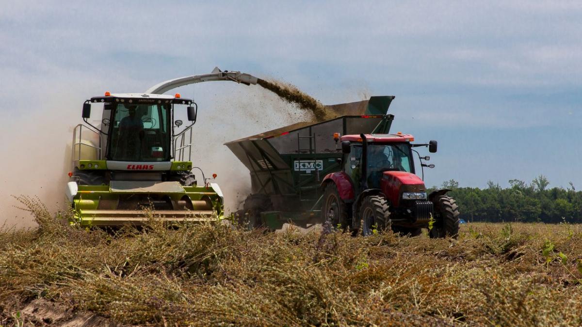 Creștere masivă a insolvențelor în sectorul agricol, în ciuda unui an agricol favorabil