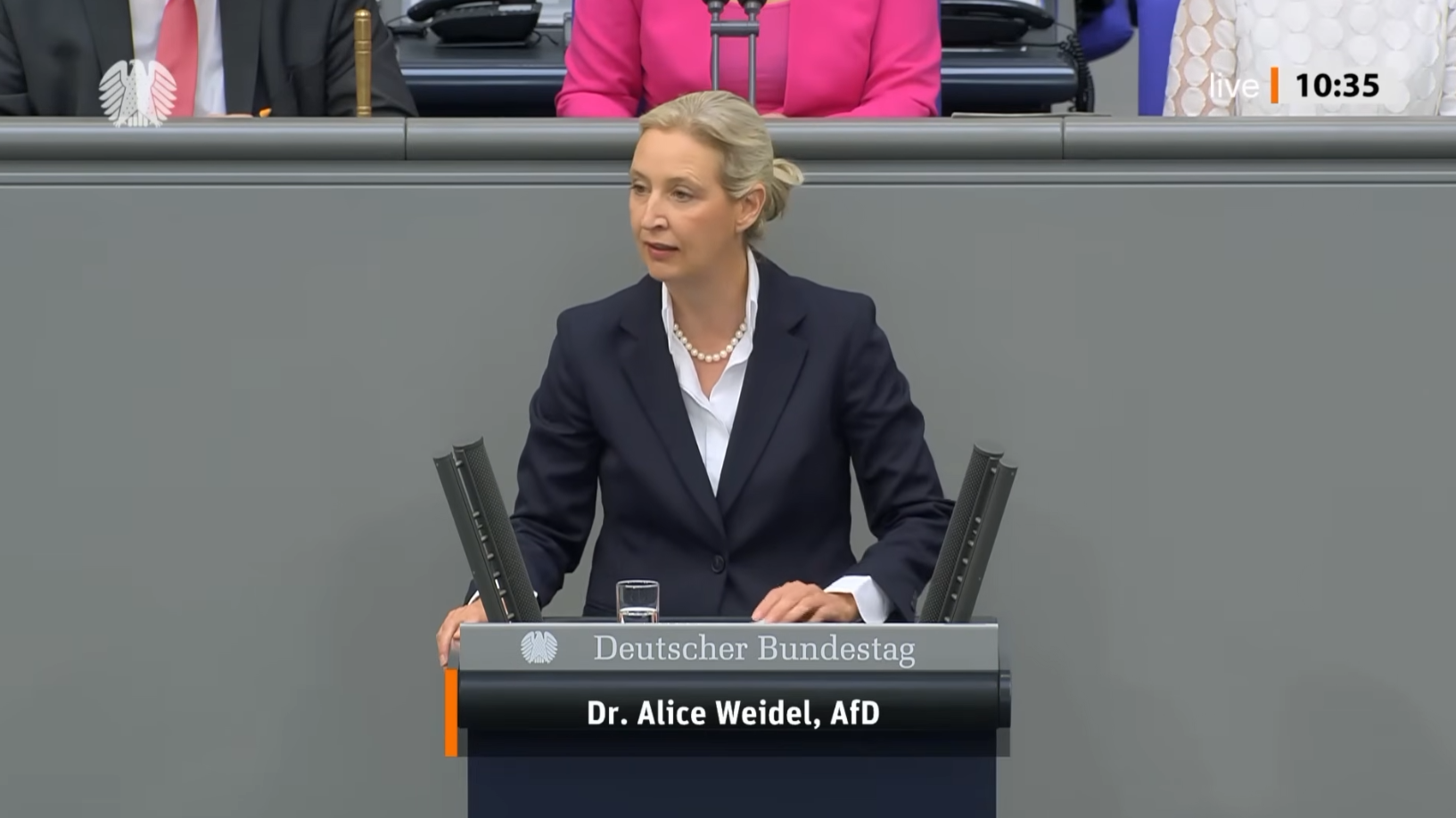 Alice Weidel solicită reluarea negocierilor cu Rusia și revenirea la energia ieftină pentru industria germană