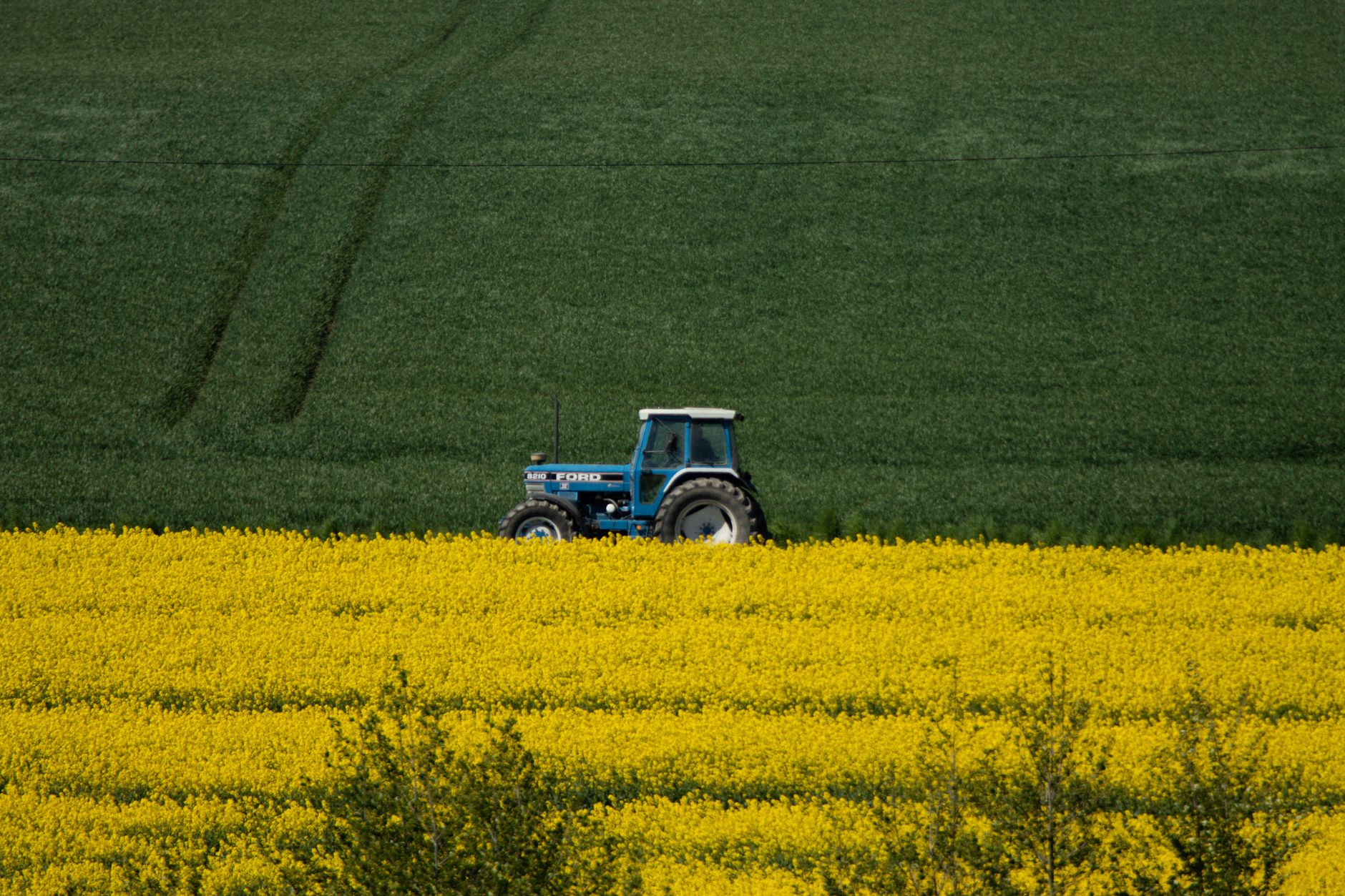 IMM-urile domină sectorul agricol: 88% din cifra de afaceri de 55 mld. lei provine de la firme mici și mijlocii