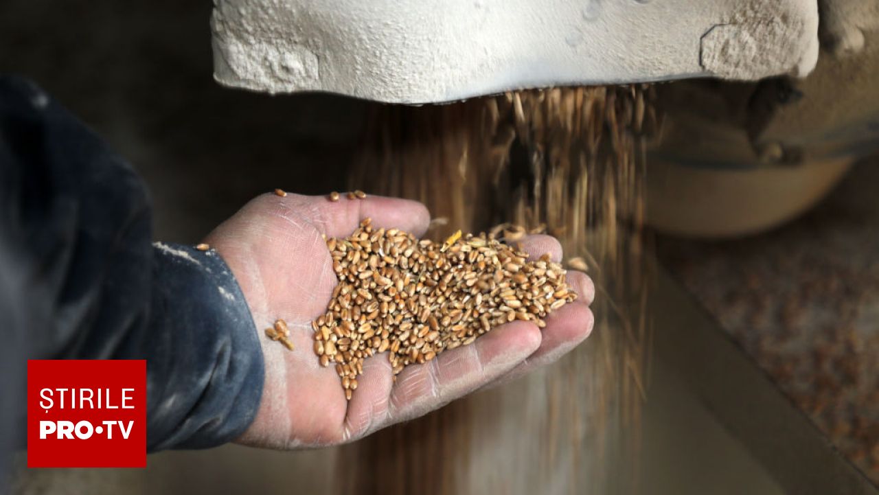 Clubul Fermierilor Români cere integrarea agriculturii în strategia economică 2028-2034