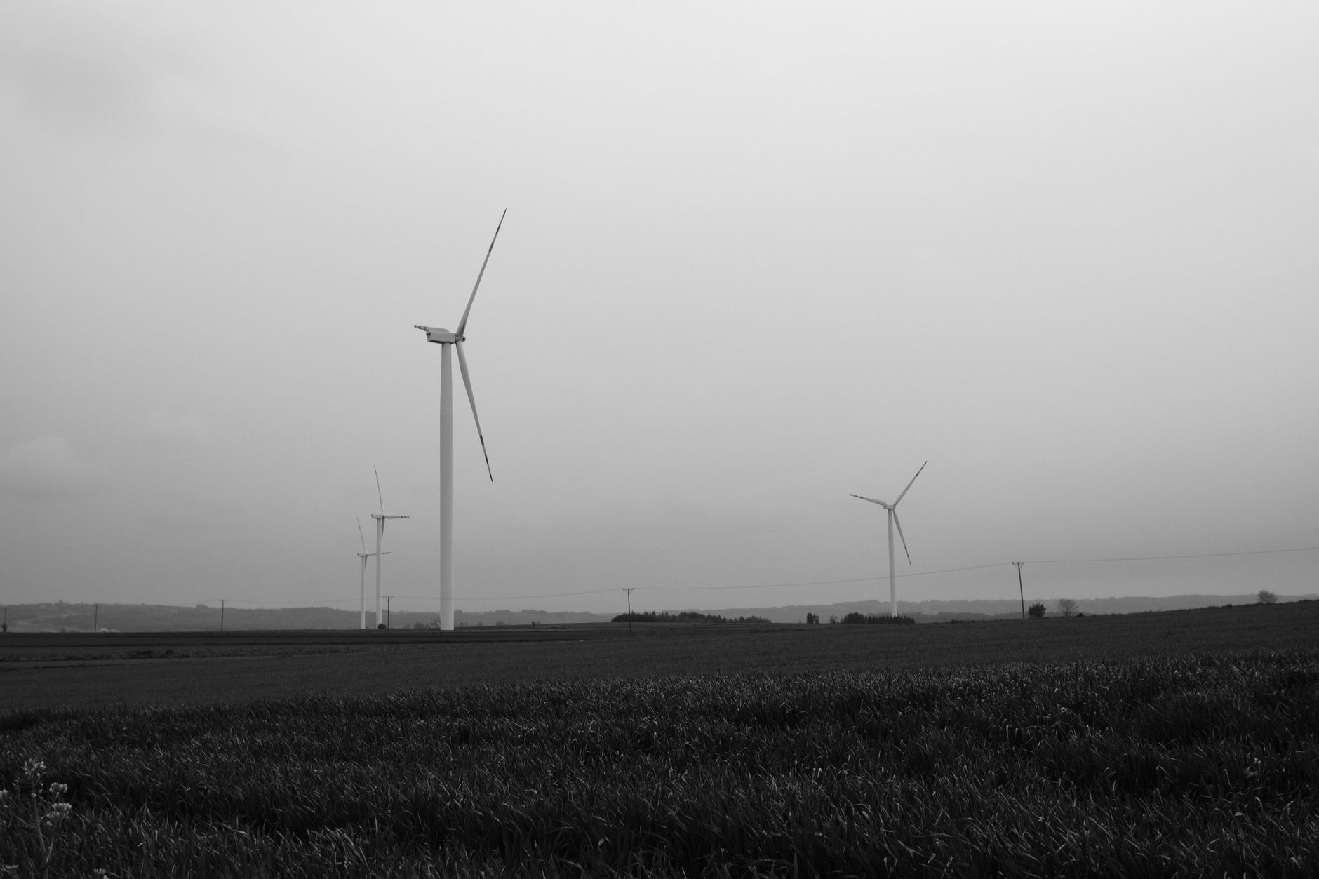 RES va gestiona parcul eolian Peștera II de 392 MW dezvoltat de CIP în Constanța