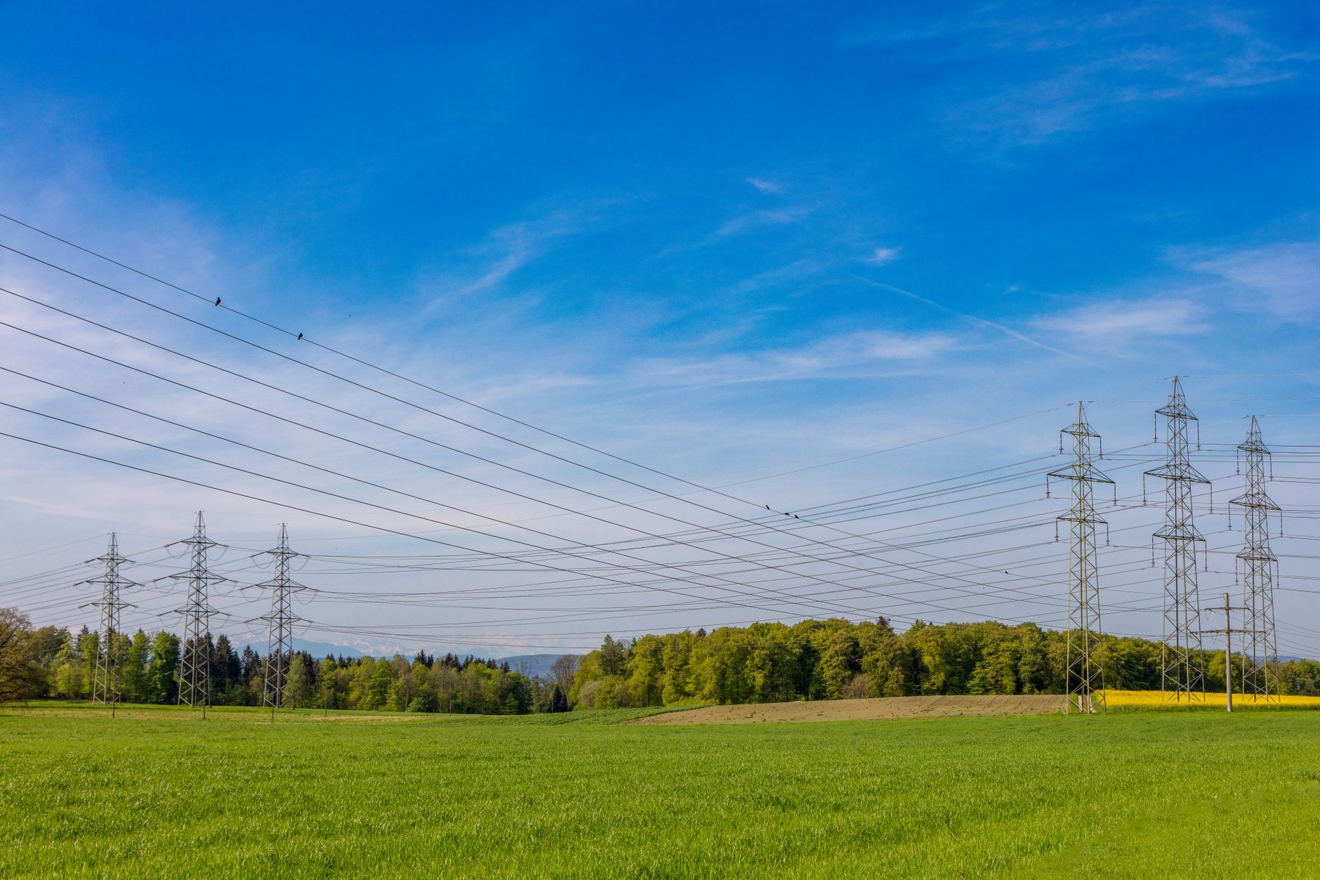 ENTSO-E lansează o strategie pentru securitatea rețelelor și accelerarea racordărilor electrice
