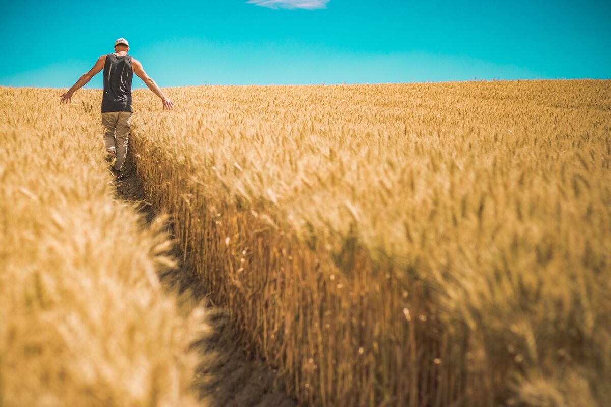 Agricultura trebuie inclusă în prioritățile strategice ale României pentru perioada 2028-2034
