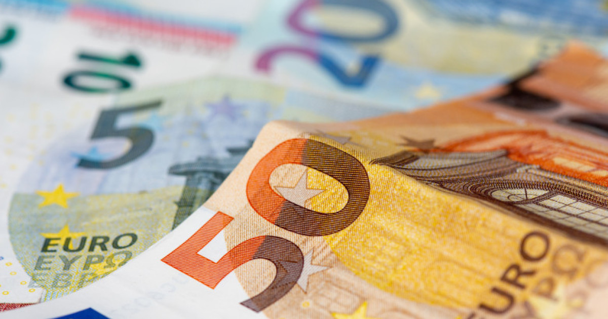 Consiliul Investitorilor Străini propune un proiect național pentru adoptarea monedei euro