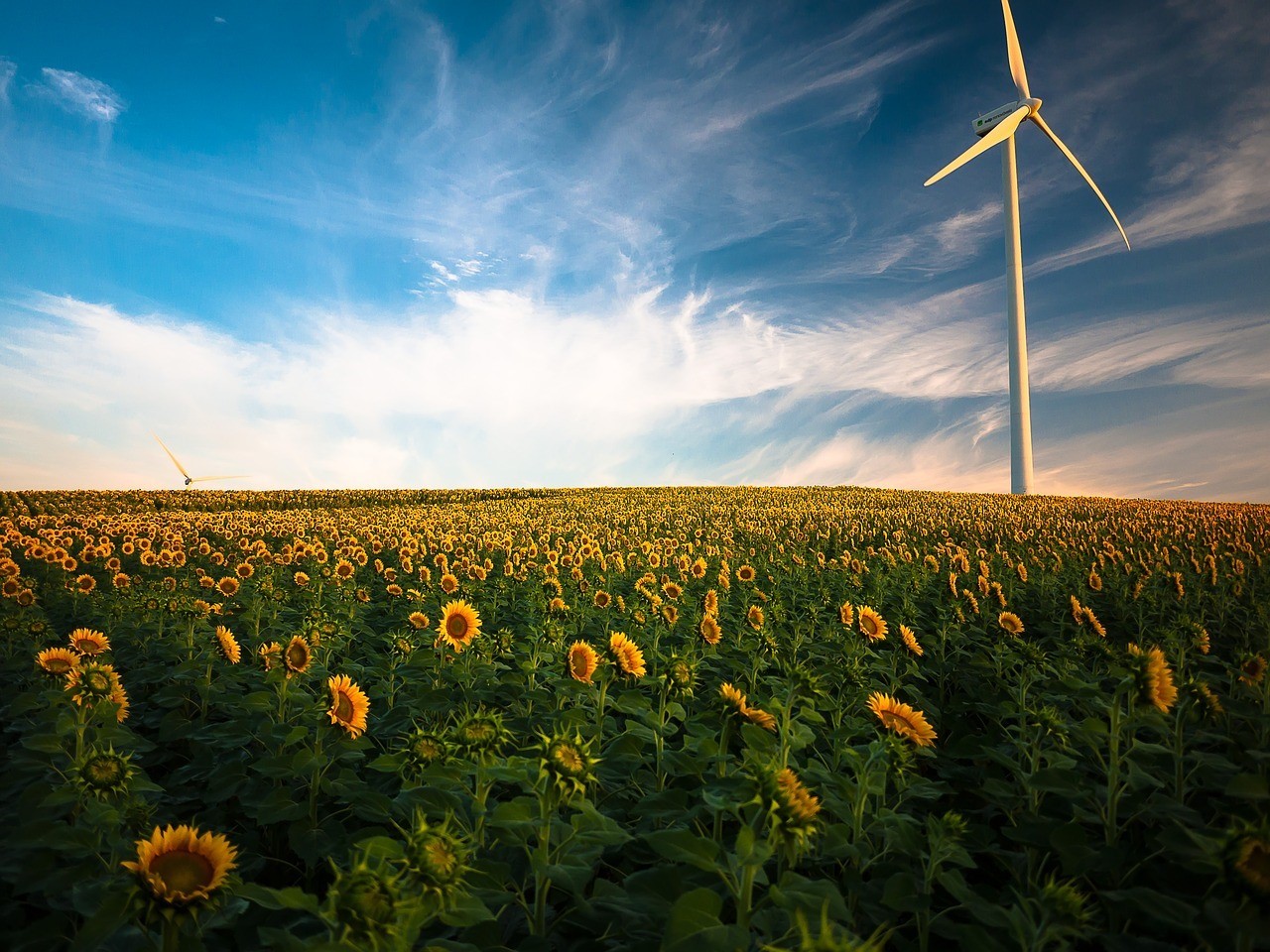 Capacitățile mondiale de producție de energie regenerabilă vor înregistra o încetinire în acest an