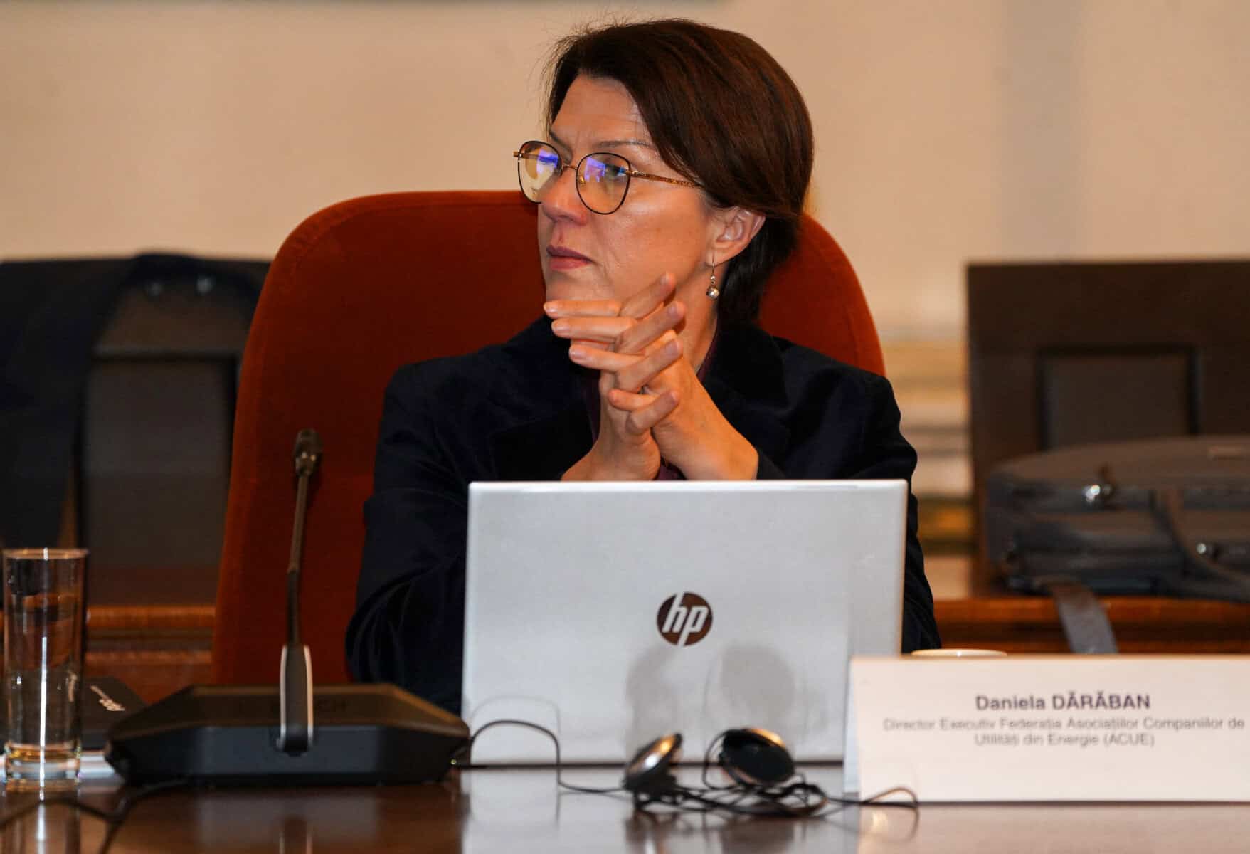Daniela Daraban: Rețelele de distribuție necesită dublarea sau triplarea investițiilor în România