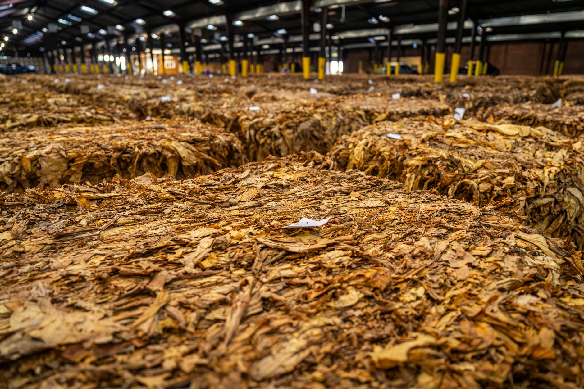 Excedentul comercial agroalimentar al UE a crescut la 34,7 miliarde de euro în perioada ianuarie-august 2026