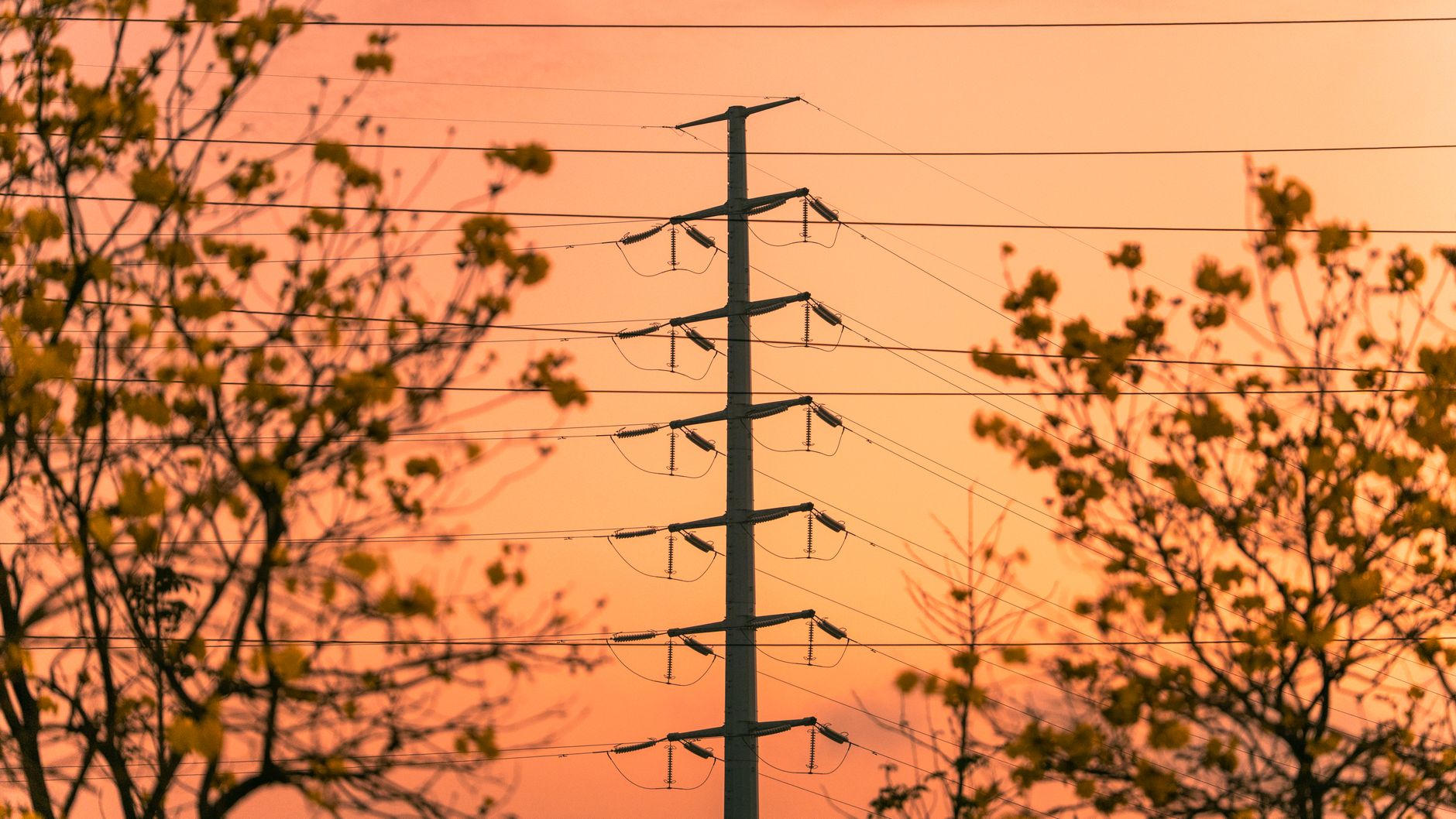 Prețul energiei electrice pe piața spot din România a ajuns la 311 euro/MWh, cel mai mare nivel din Europa