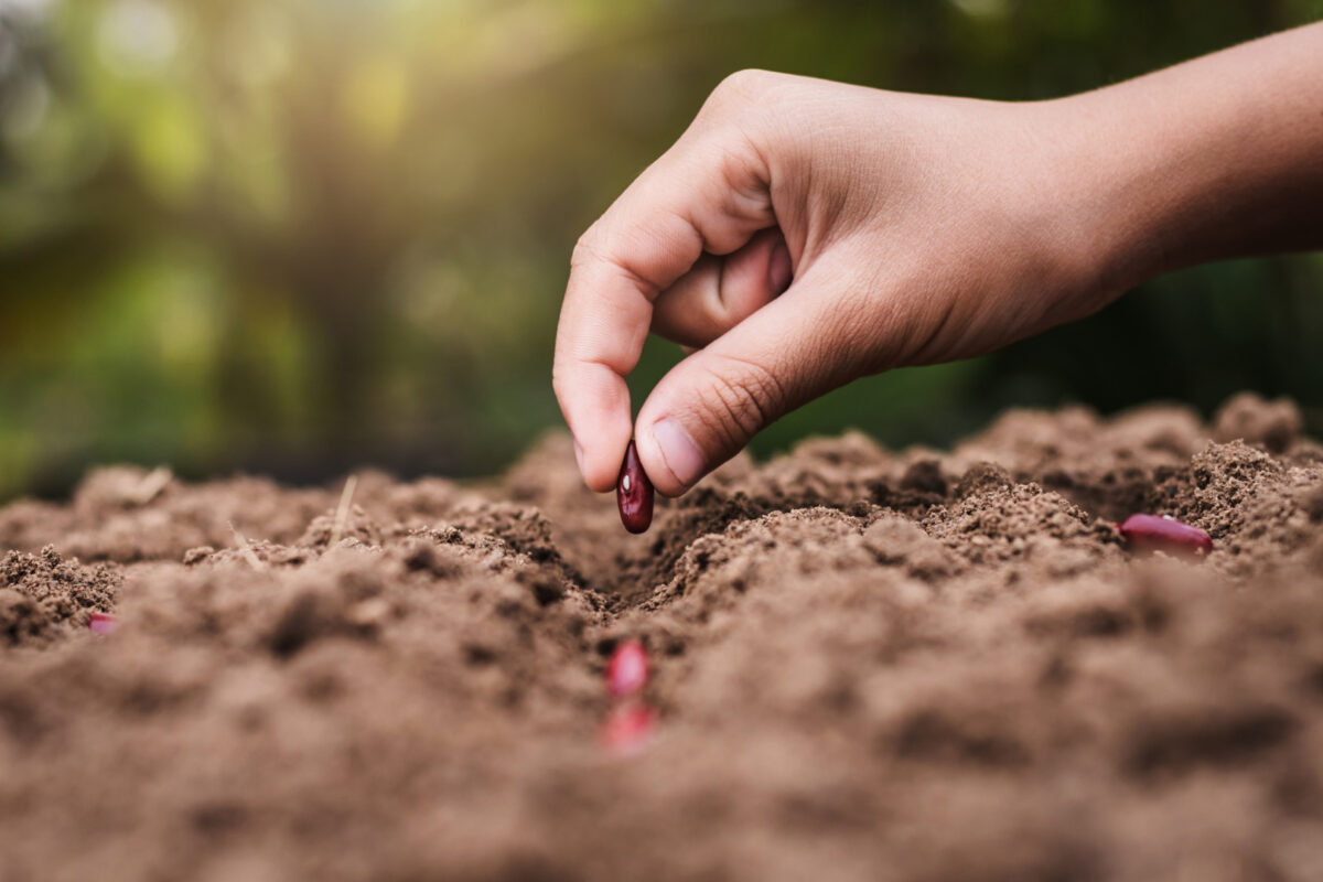 Clubul Fermierilor Români semnalează gestionarea deficitară a riscurilor în agricultura de la România