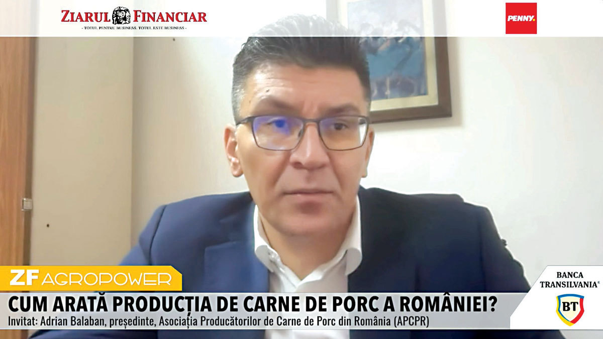 Criză în sectorul porcin în România: prețuri minime și riscul de falimente în 2026