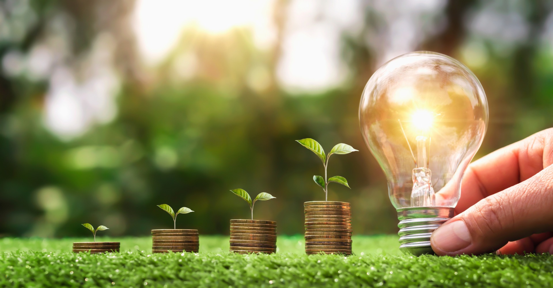 Amenzi de până la 15.000 de lei pentru firmele care nu raportează consumul de energie în EfEnClima