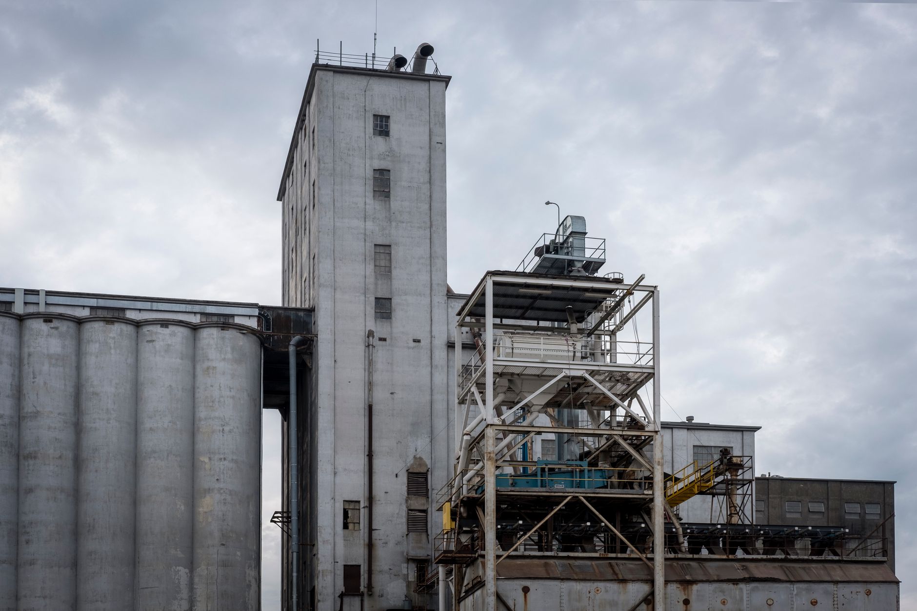 Bunge majorază capitalul în România cu 415,6 milioane de lei în urma fuziunii cu Viterra