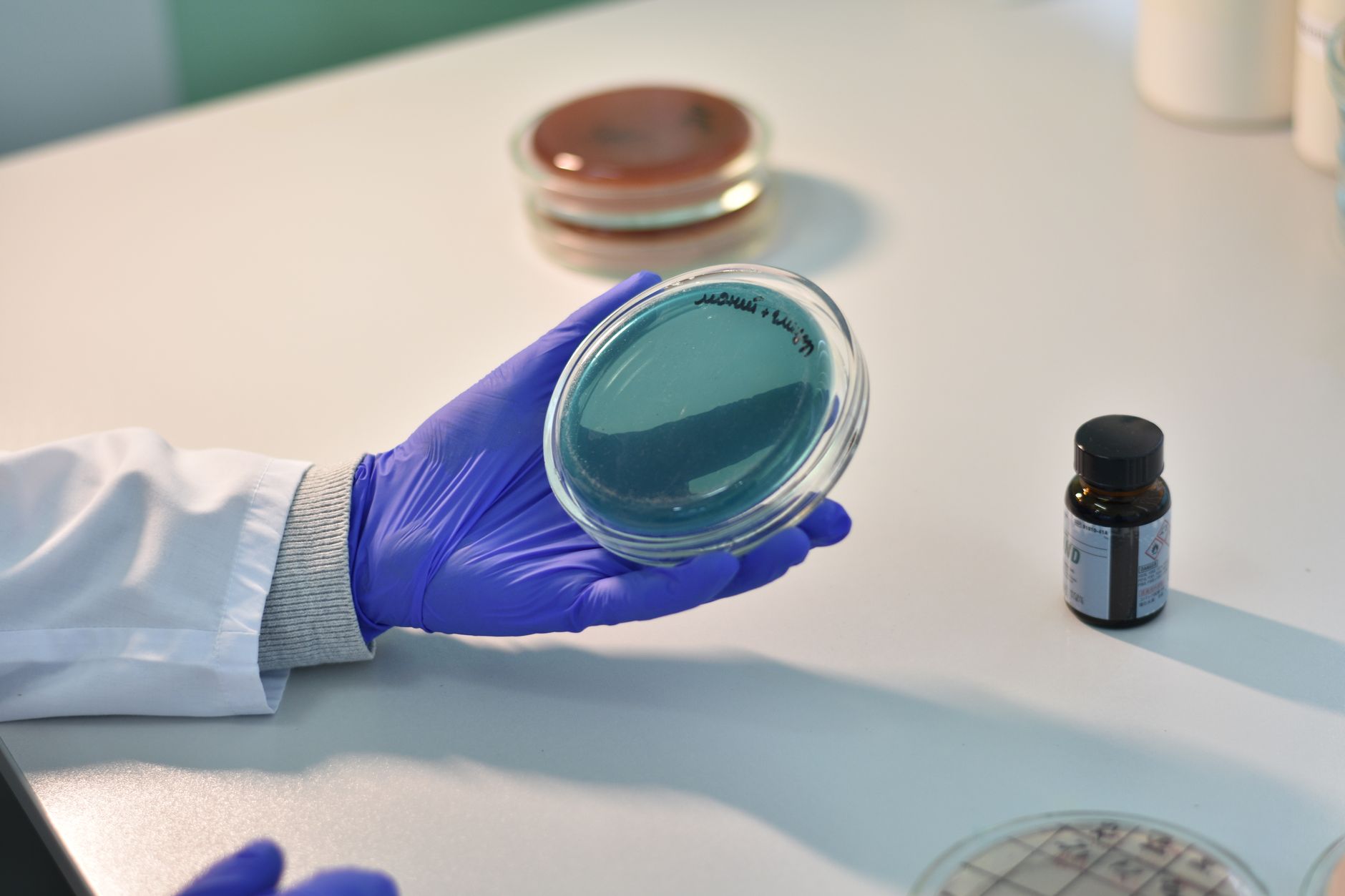 Vânzările Merck sunt estimate la peste 67 de miliarde de dolari în 2026, după rezultate solide în oncologie