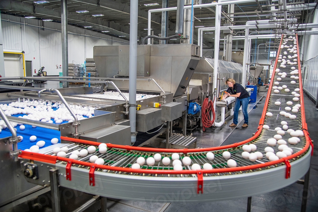 Evoluții macroeconomice în august 2026: Creșterea producției în SUA și dinamica prețurilor în Europa