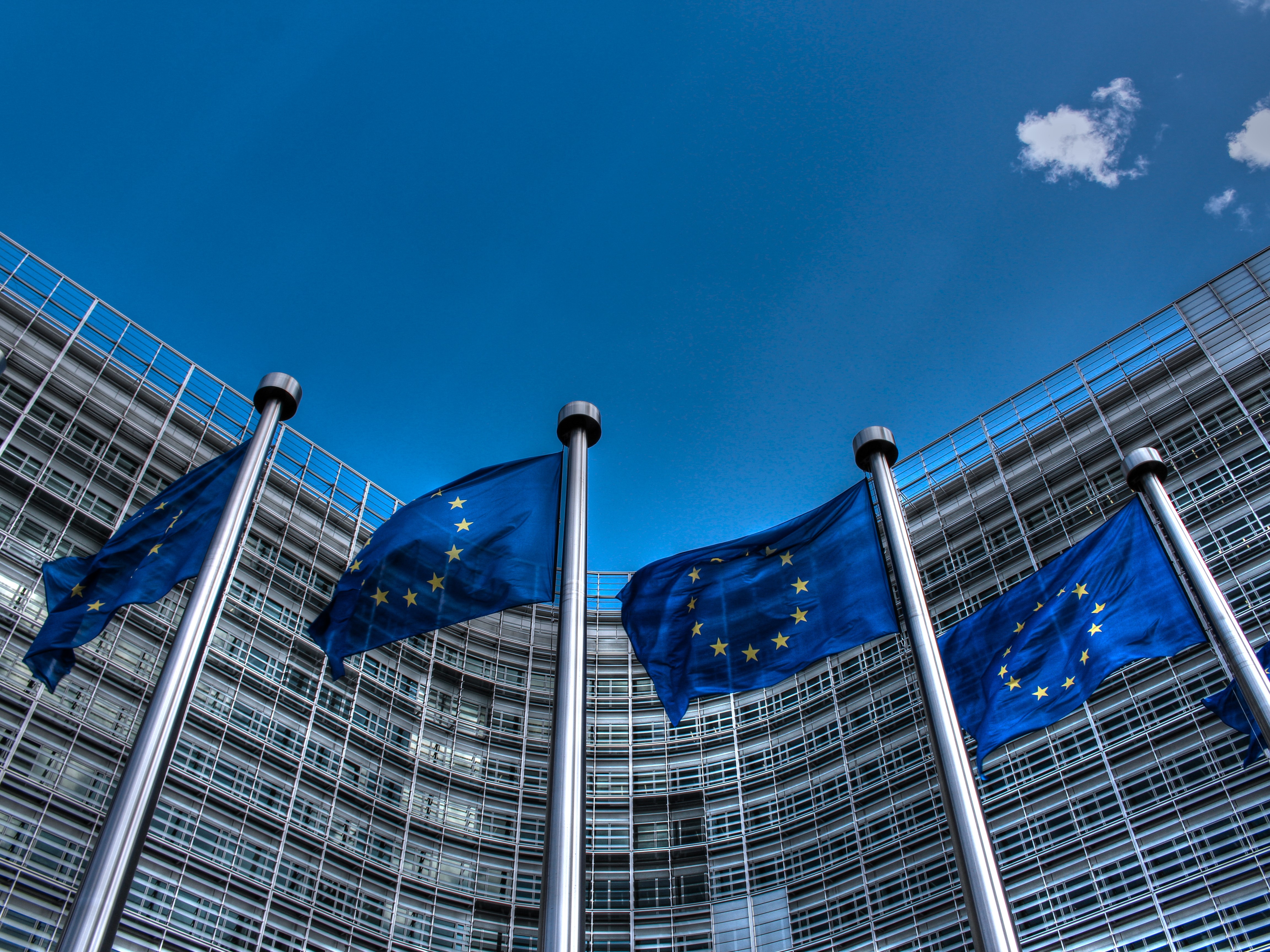 Divergențe în UE privind proiectul de lege pentru accelerarea industrială și eticheta de origine europeană