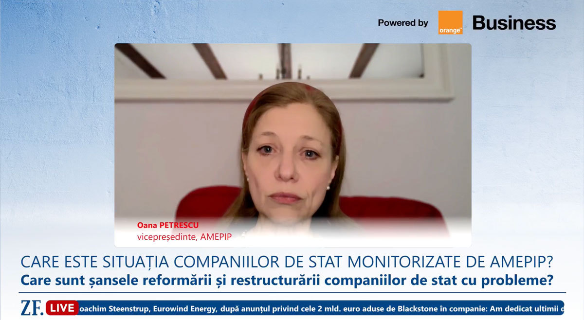Analiza AMEPIP: Cum influențează statul-proprietar evaluarea companiilor energetice din BET