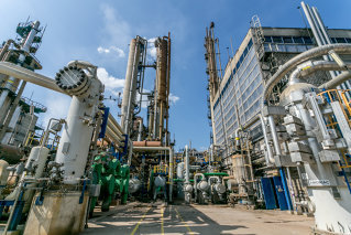 Romgaz estimează că segmentul de îngrășăminte va genera 25% din venituri în anul 2028
