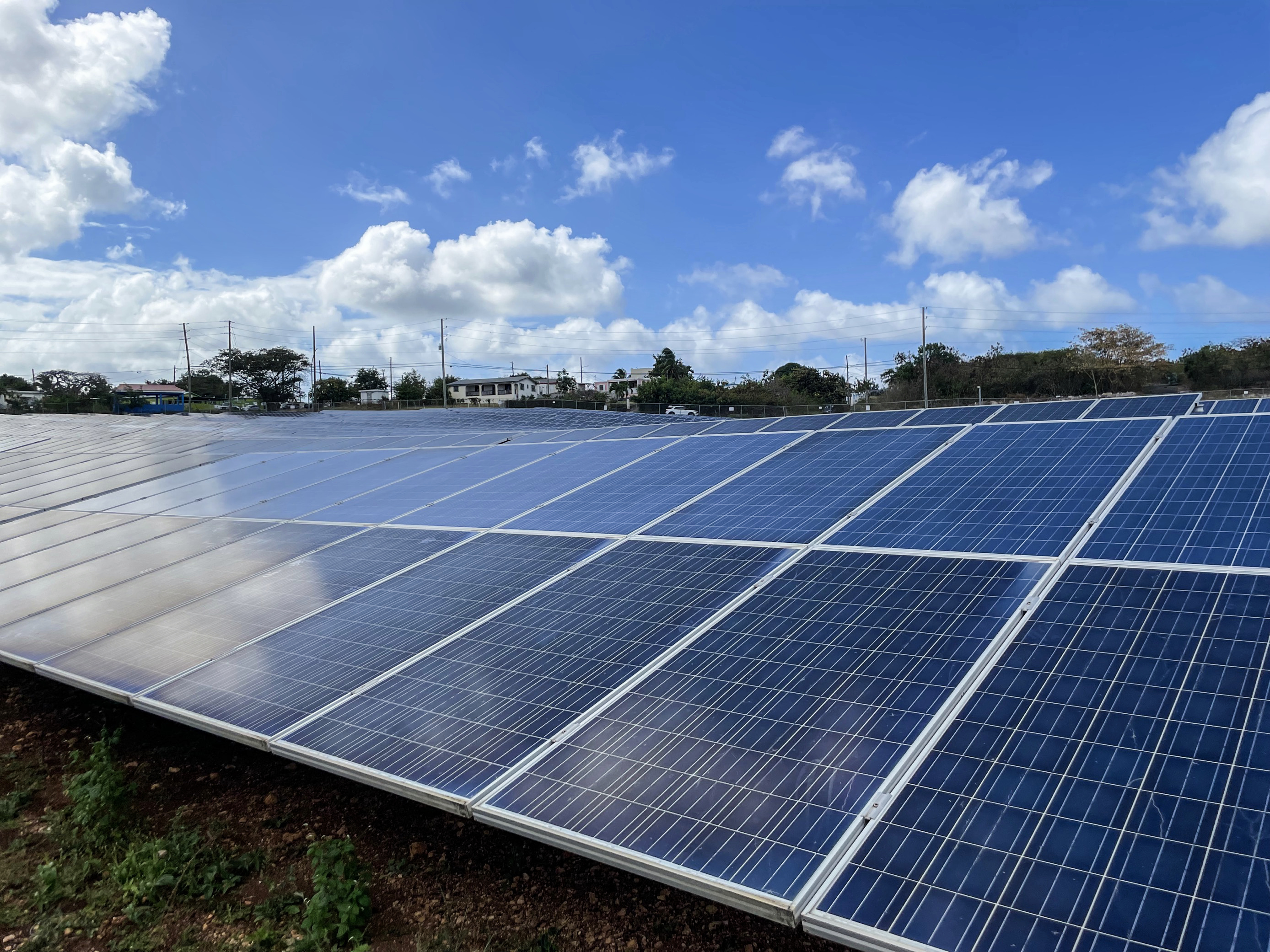 BEI finanțează cu 100 de milioane de euro proiectul solar Dama Solar în Arad