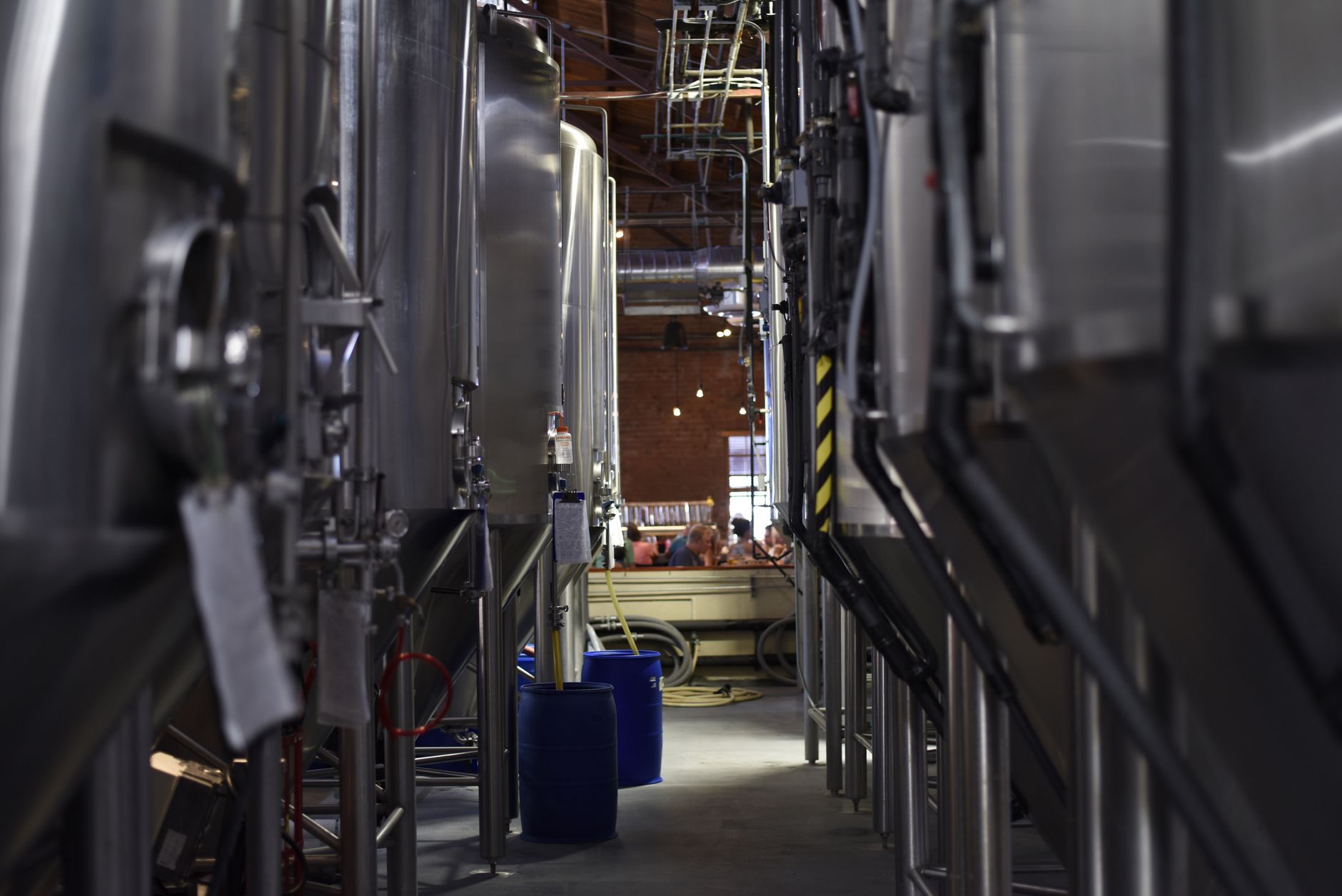 Industria berii în declin: închiderea unei fabrici istorice în Germania și scăderea consumului în România