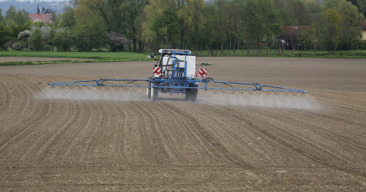 Reforma PAC între 2028 și 2034: Riscuri majore de finanțare pentru agricultura din România