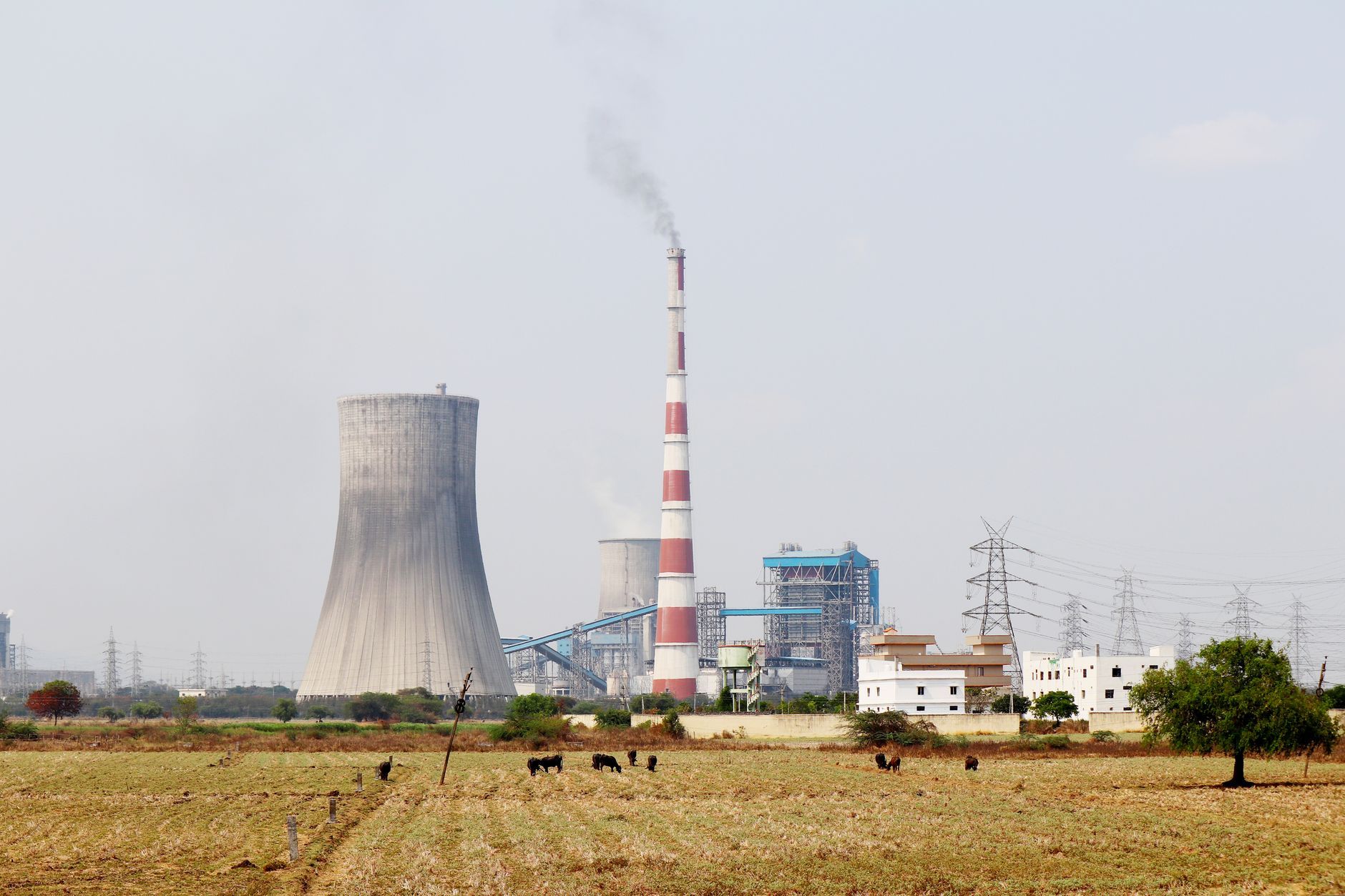 Eșec comercial pentru CE Oltenia: nu au fost cumpărători pentru energia cu livrare în 2027