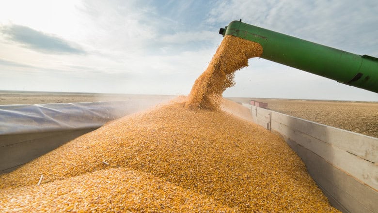 Măsuri de fluidizare a exporturilor de cereale prin Portul Constanța: sincronizarea transportului cu navele