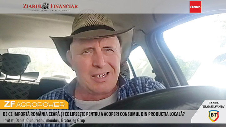 Cerințe pentru o producție profitabilă de ceapă: de la 70-80 de tone la hectar la investiții masive