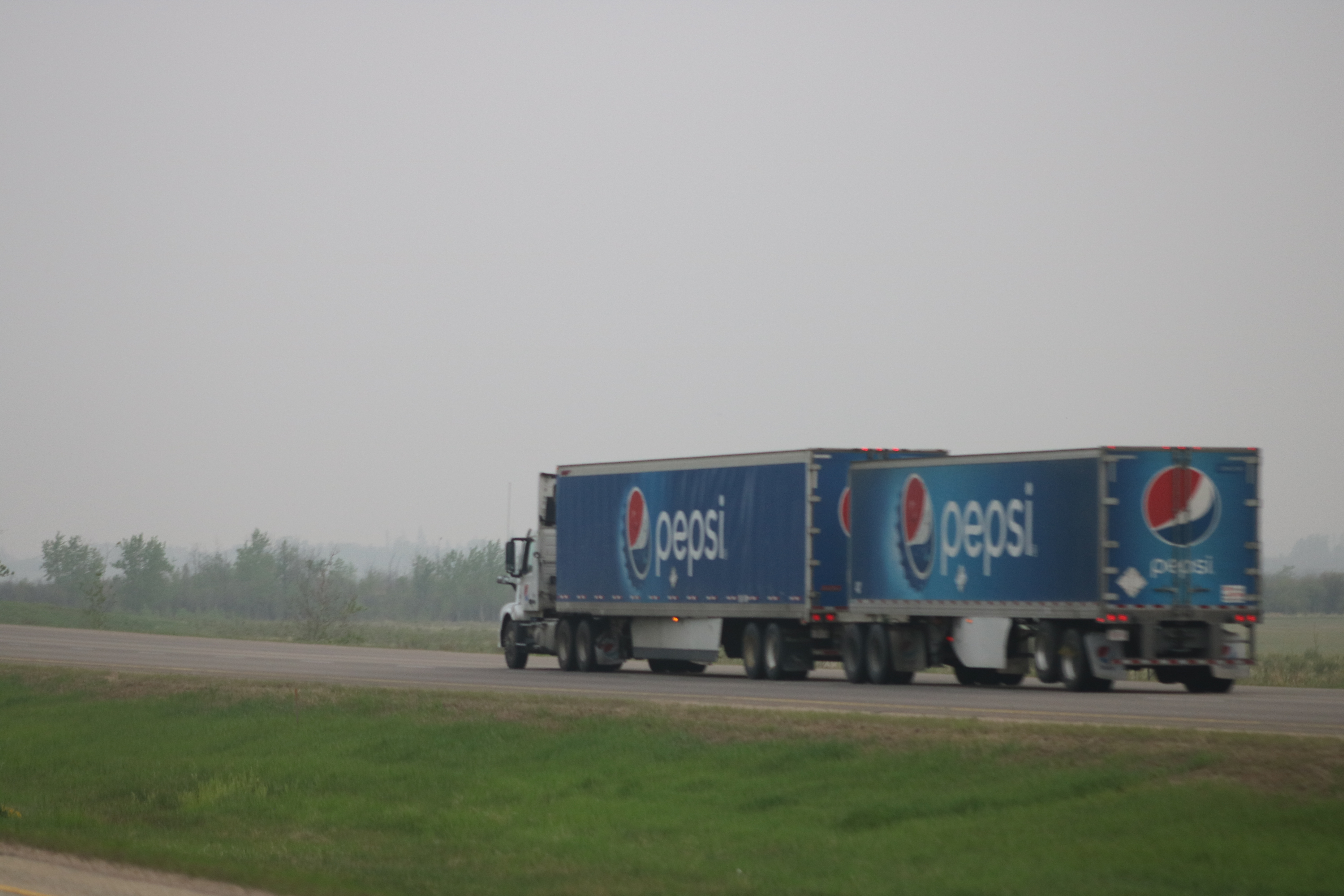 Analiză ecomTEAM 2026: Diferențele de consum și logistică în Europa Centrală și de Est