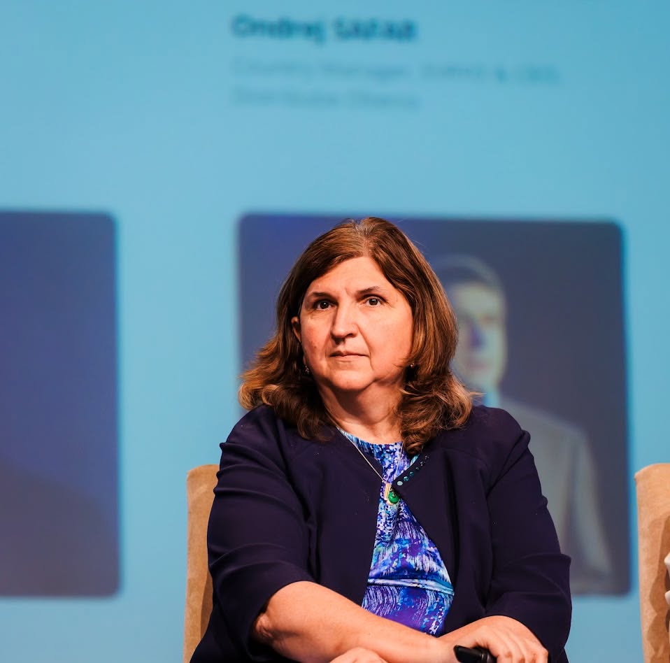 Corina Popescu avertizează asupra securității energetice regionale și a dificultăților de contractare