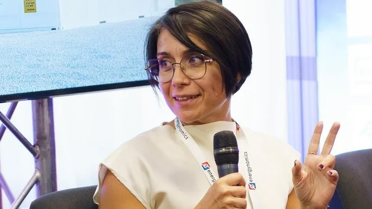 Asigurarea integrată este esențială pentru proiectele de stocare în baterii (BESS)