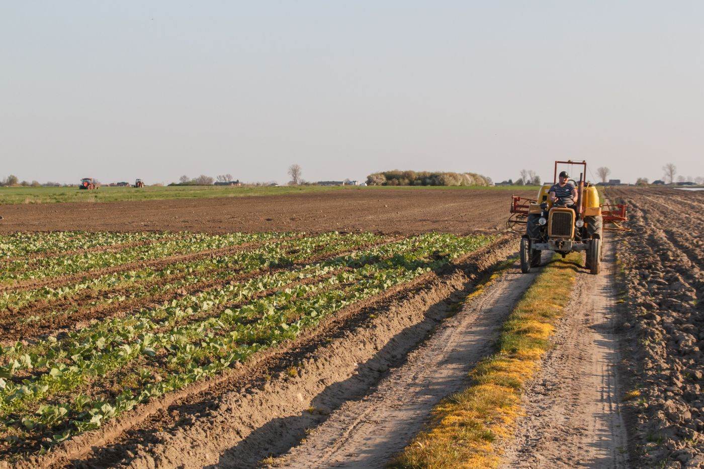 Franța va sprijini sectorul agricol cu credite fără dobândă de până la două miliarde de euro
