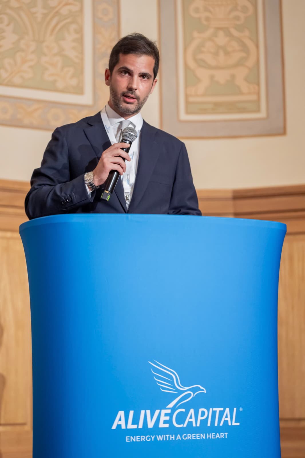 Alive Capital vizează transformarea României într-un model pentru proiectele de stocare a energiei