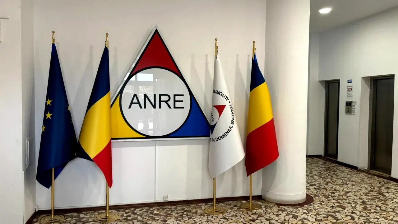 APCE acuză ANRE de lipsa de control asupra investițiilor în rețelele de distribuție a energiei electrice